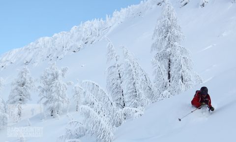 backcountry skiing utah