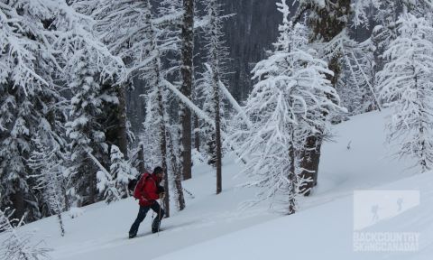 backcountry skiing whitewater