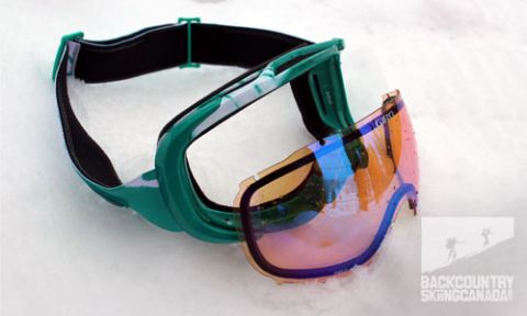 Giro Field Goggles