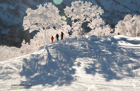 Skiing Japan