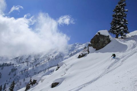 ski Gulmarg