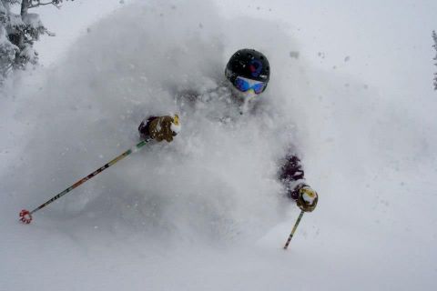 powder skiing