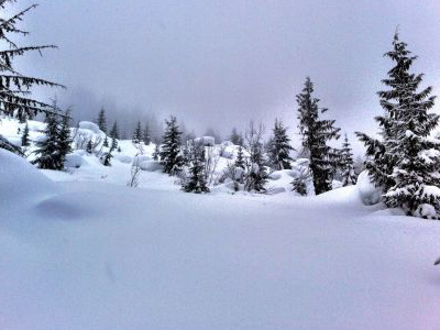 Trout Lake Backcountry skiing