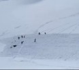 Six skiers caught in Whistler Avalanche