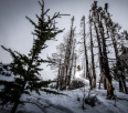 Ashely Barker wins the 2015 Arcteryx Deep Winter Photo Challenge