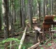 Building bike trails on BC Crown Land is apparently illegal