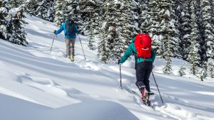 Beginner's Guide to Backcountry Ski and Snowboard Touring - Part One