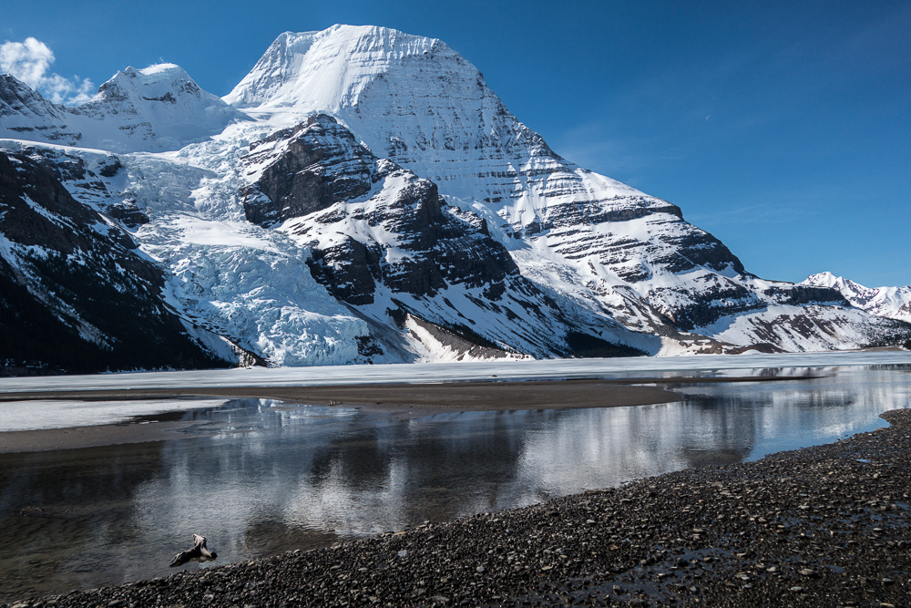 Mt Robson's north and Emperor faces from Berg Lake