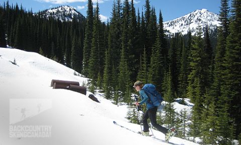 Toad Mountain Backcountry Skiing