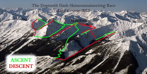 Dogtooth Dash Skimo Race Elite course