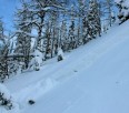 Backcountry observations + avalanche report