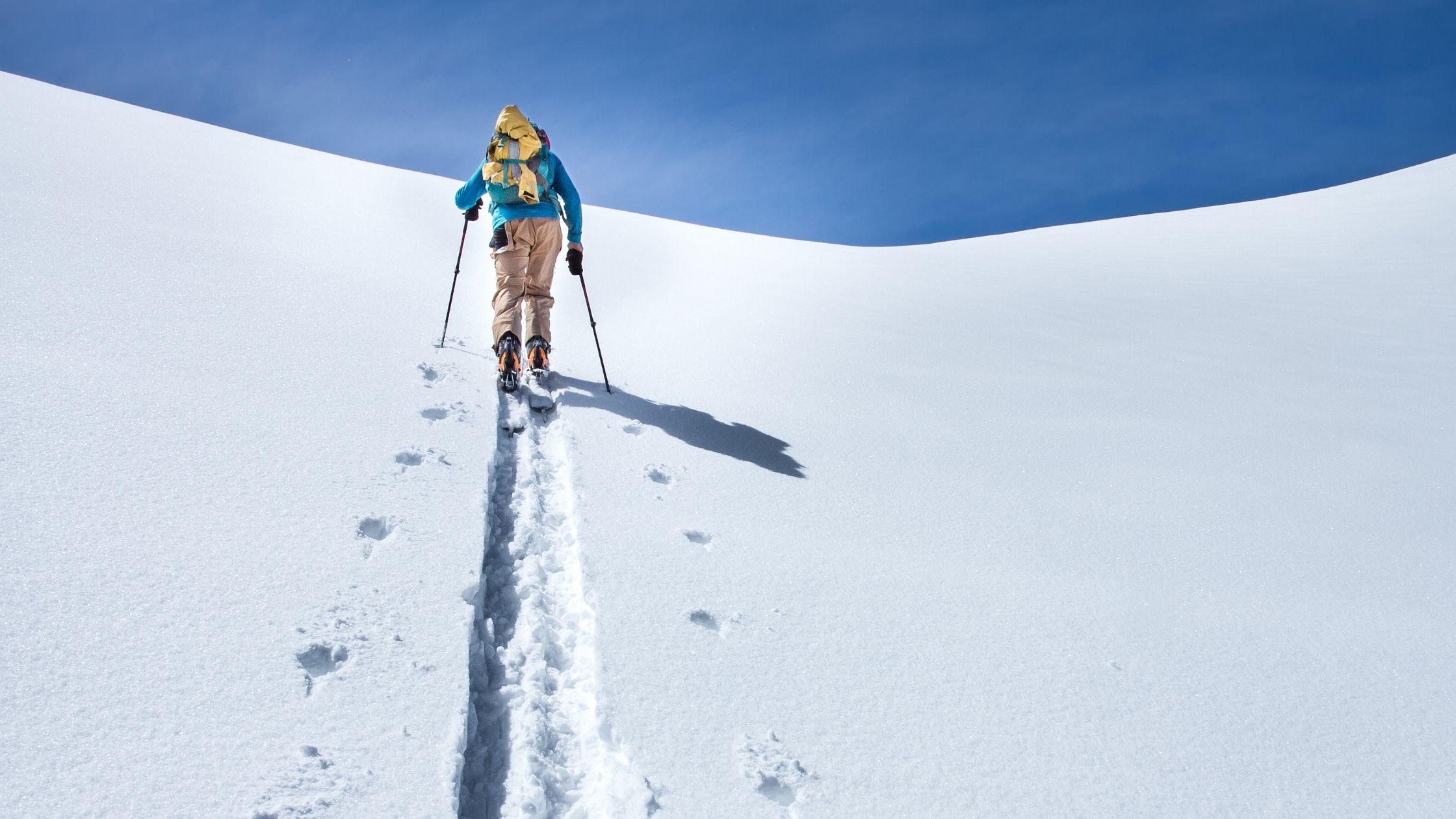 2 Backcountry Skiers You Need to Follow This Winter