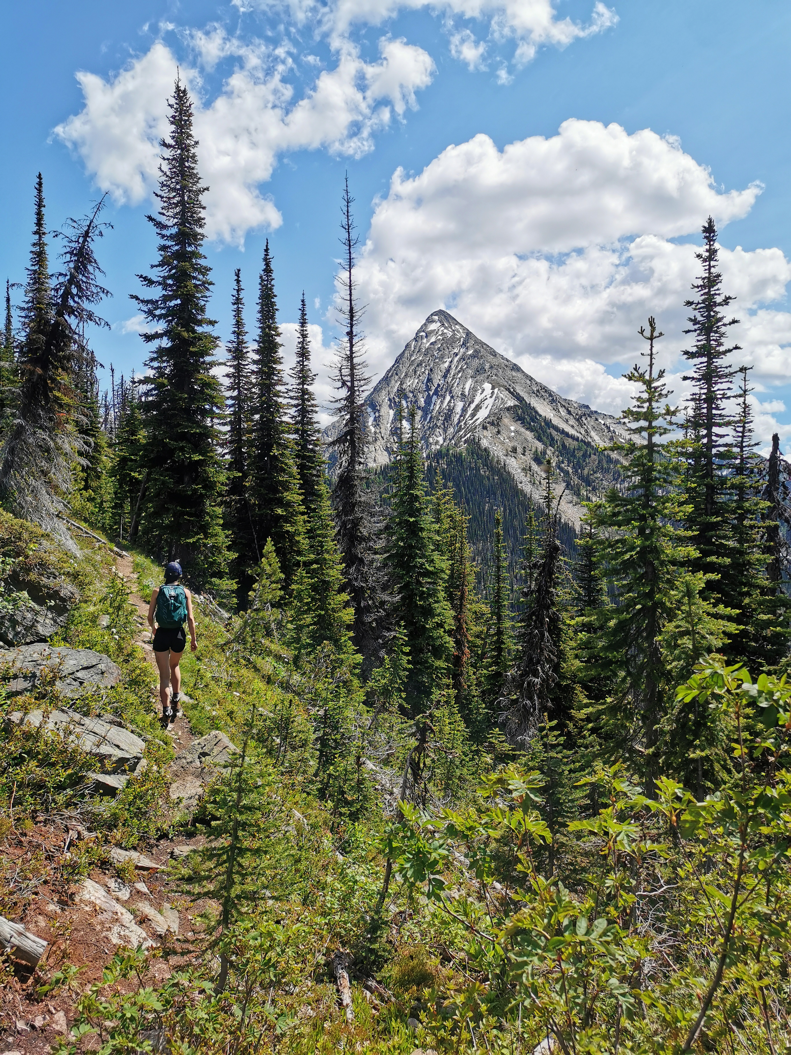 Home [backcountryskiingcanada.com]