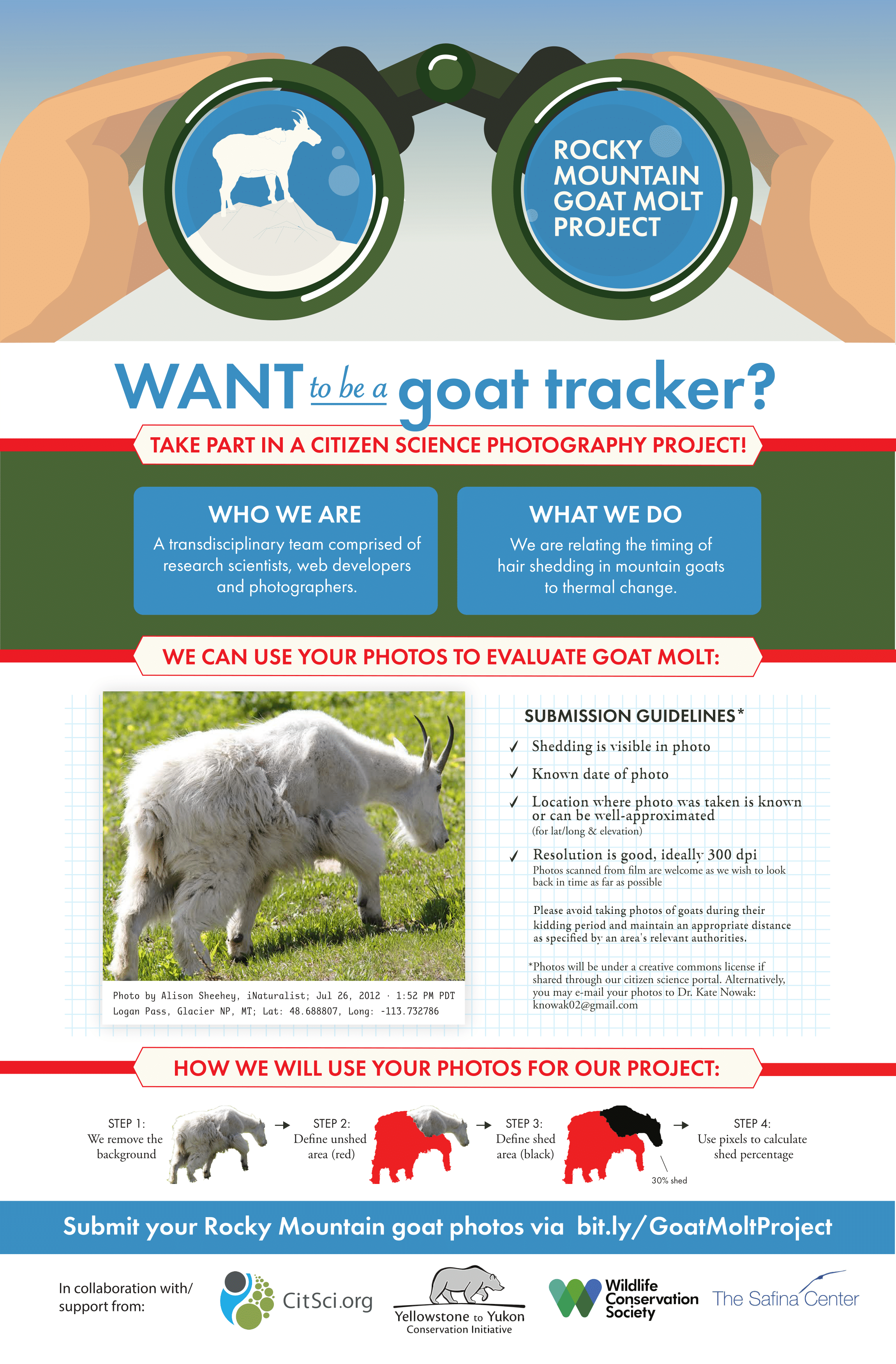 Citizen Science Project: The Mountain Goat Molt Project