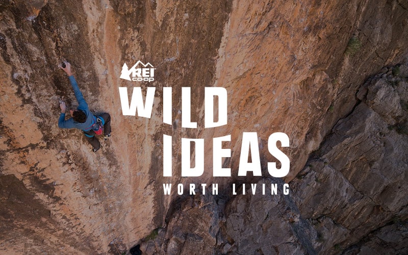 Wild Ideas Worth Living: The Podcast.