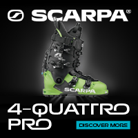 Scarpa