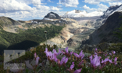 Earl Grey Pass