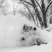 SnowLocals knows Japan and you should too