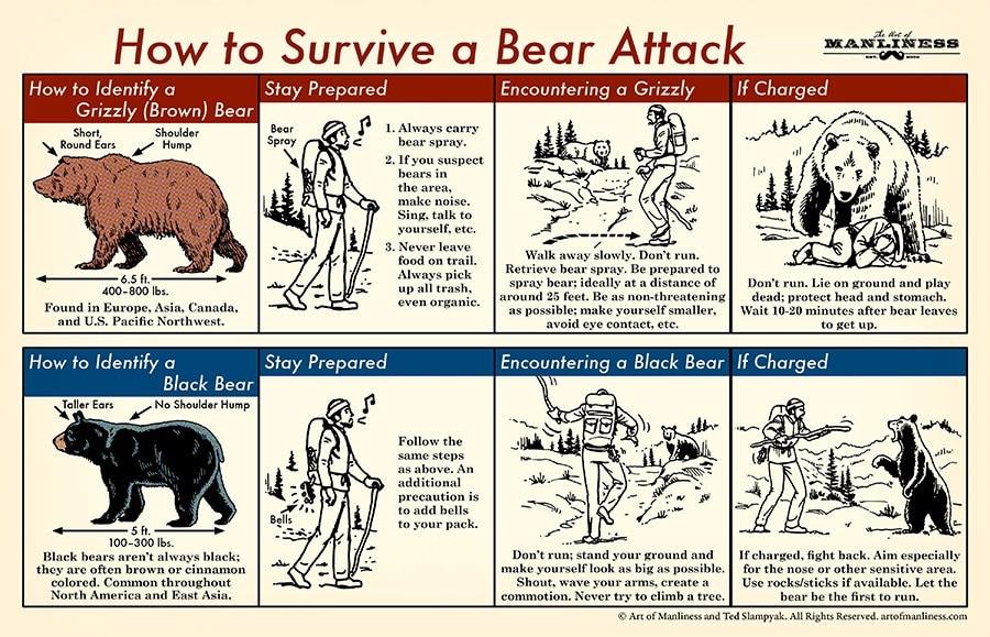 How to use bear spray