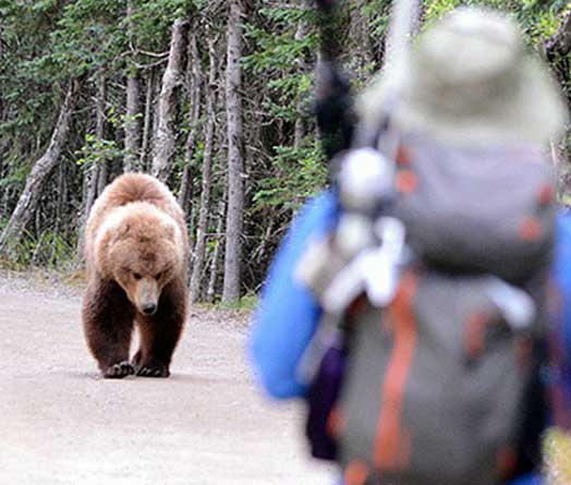 How to Use Bear Spray - VIDEO