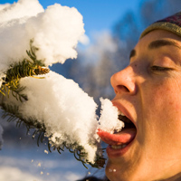 Why you shouldn't eat snow (especially the yellow stuff)