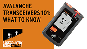 Transceivers 101 - VIDEO