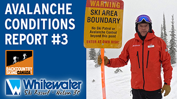 Avalanche Conditions Report #3