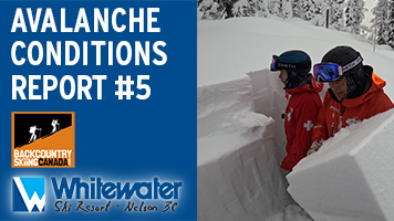 Avalanche Conditions Report #5 - VIDEO
