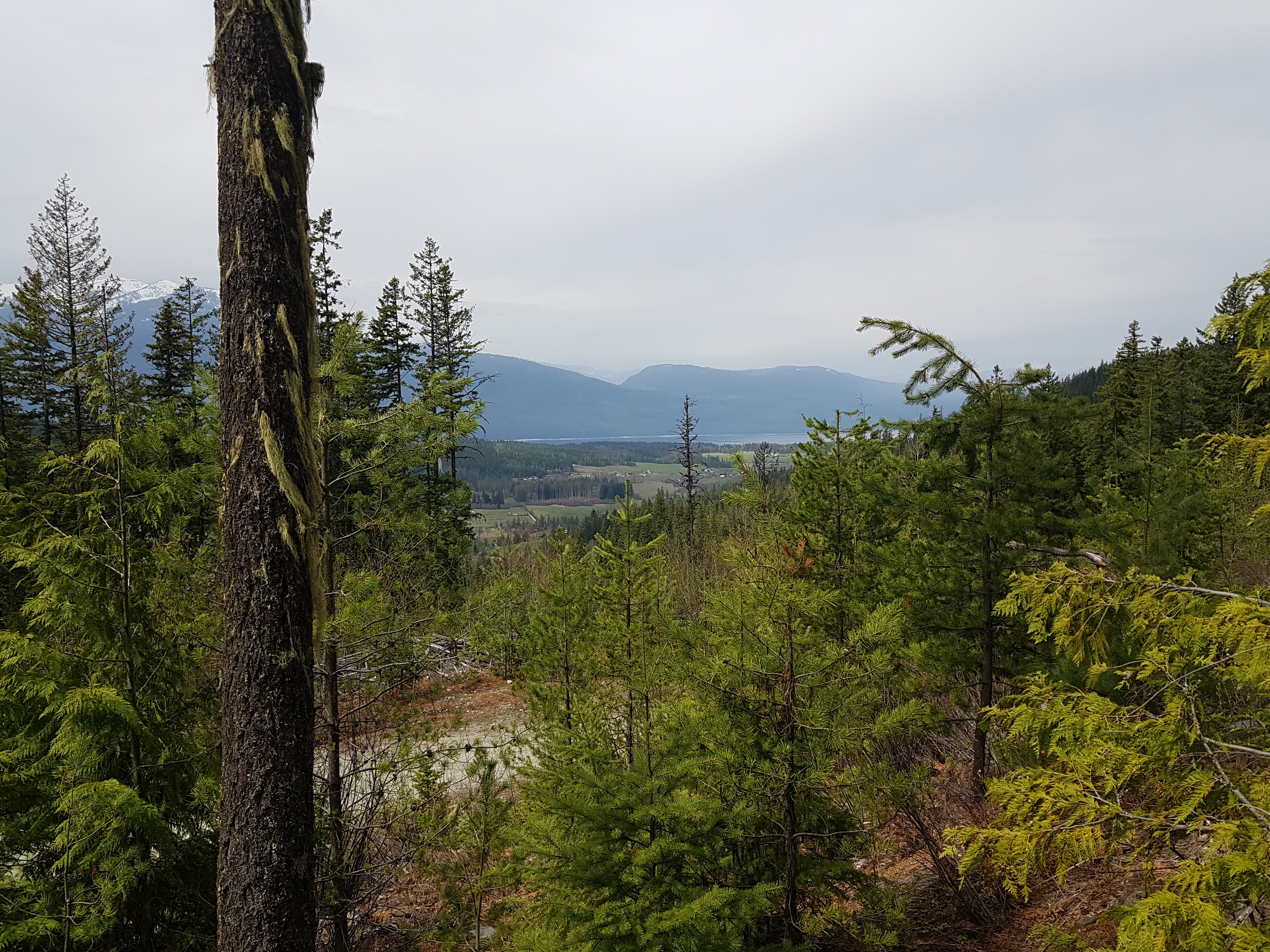 Box Lake Mountain Bike Trails