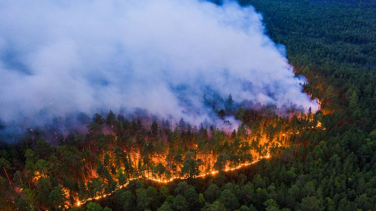 WILDFIRE SMOKE FROM RUSSIA REACHES NORTH POLE FOR FIRST TIME EVER